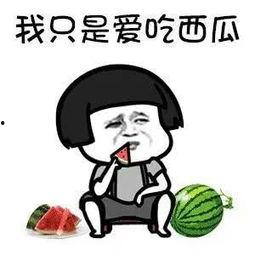 吃娱乐圈的瓜吗,揭秘明星幕后故事与精彩瞬间